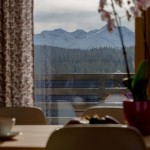 Apartament fioletowy