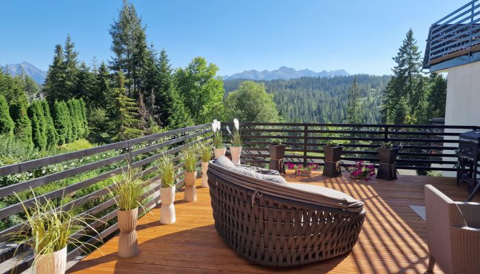 widok z tarasu na Tatry